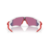Oakley Radar EV Path Polished White Prizm Road