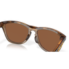 Oakley Frogskins Brown Smoke Prizm Tungsten