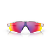 Oakley Radar EV Path Polished White Prizm Road
