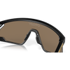 Oakley BXTR Metal Matte Black Prizm 24K