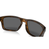 Oakley Holbrook Matte Brown Prizm Black