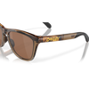 Oakley Frogskins Brown Smoke Prizm Tungsten