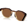 Oakley HSTN Dark Amber Prizm Tungsten