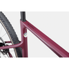 Cannondale SuperSix EVO SE 1 Black Cherry '24