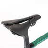 Colnago G4-X Green