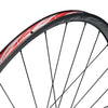 Fulcrum Racing 5